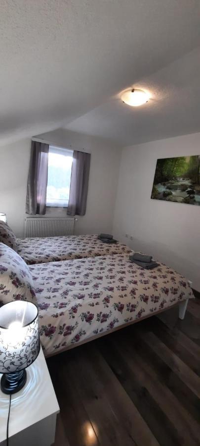 Apartman Karolina Rudanovac Exterior photo